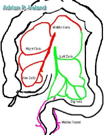 \scalebox{0.4}{\includegraphics{whole}}