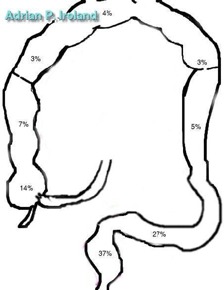 \scalebox{0.5}{\includegraphics{freq}}