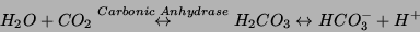 \begin{displaymath}
H_2O + CO_2 \stackrel{Carbonic\ Anhydrase}{\leftrightarrow} H_2CO_3
\leftrightarrow HCO_3^- + H^+
\end{displaymath}